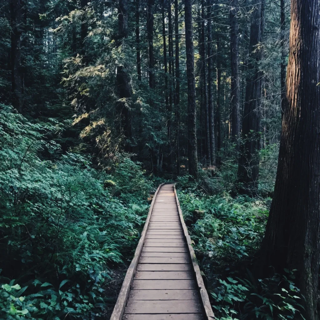 Whyte Lake Trail, West Vancouver, Canada